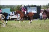 UKPA  NC Sat_1198